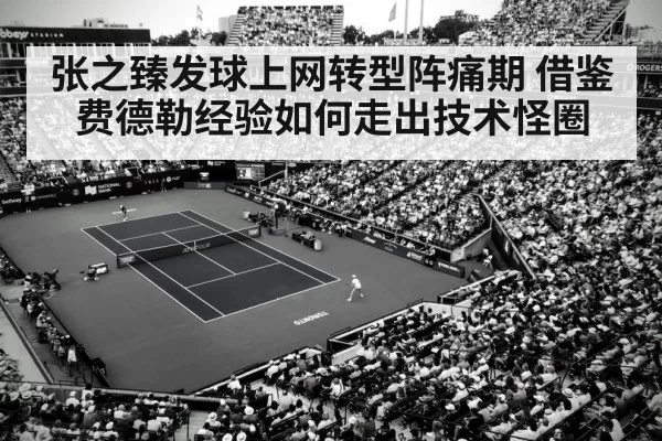 Roger Federer tennis match