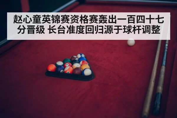 snooker cue stick